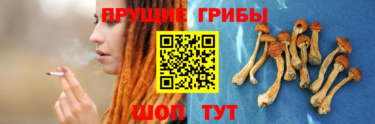 Галлюциногенные грибы Psilocybe  дарнет шоп  Биробиджан  Вход с VPN  Галлюциногенные грибы Magic Shrooms 