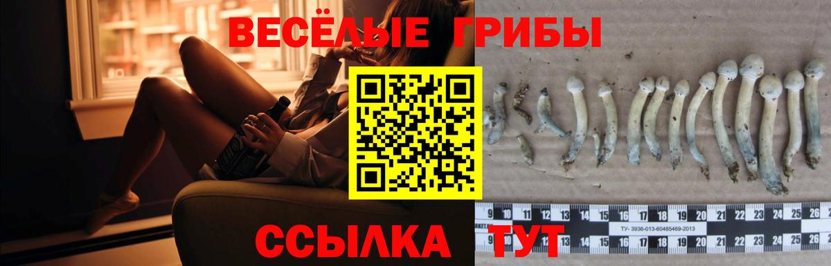Галлюциногенные грибы GOLDEN TEACHER Биробиджан